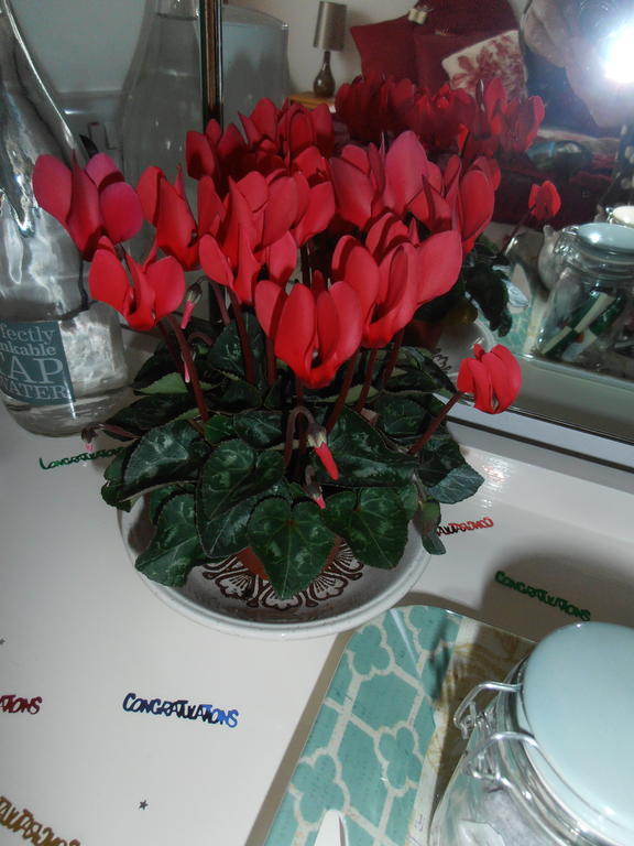 The Hideaway Suite Holiday Home كول شيستر المظهر الخارجي الصورة